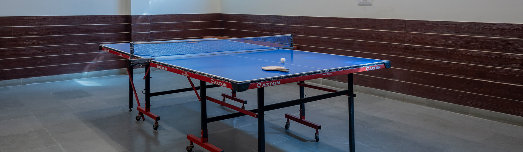 table-tennis-3